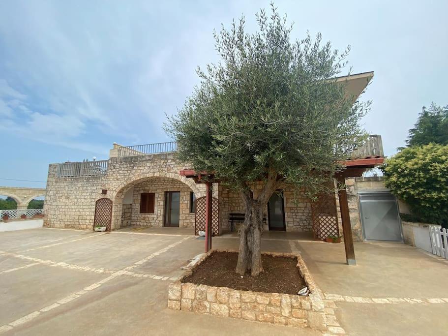 Villa Coco Monopoli Exteriör bild